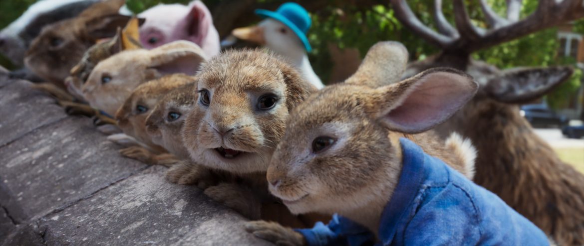 SEA Wave - Peter Rabbit 2