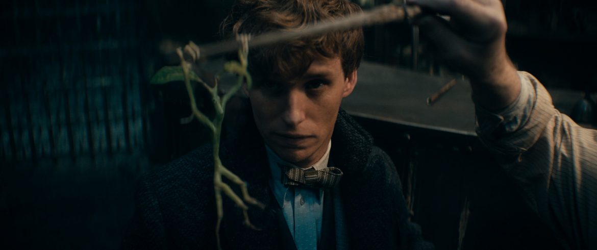 SEA Wave - Fantastic Beasts Eddie Redmayne 2