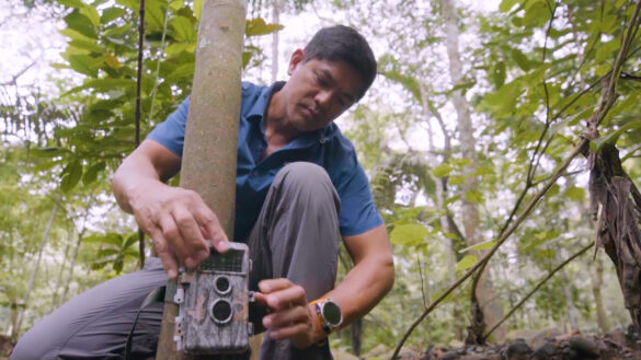 Doc Nielsen will shed light on the devastating effects of deforestation