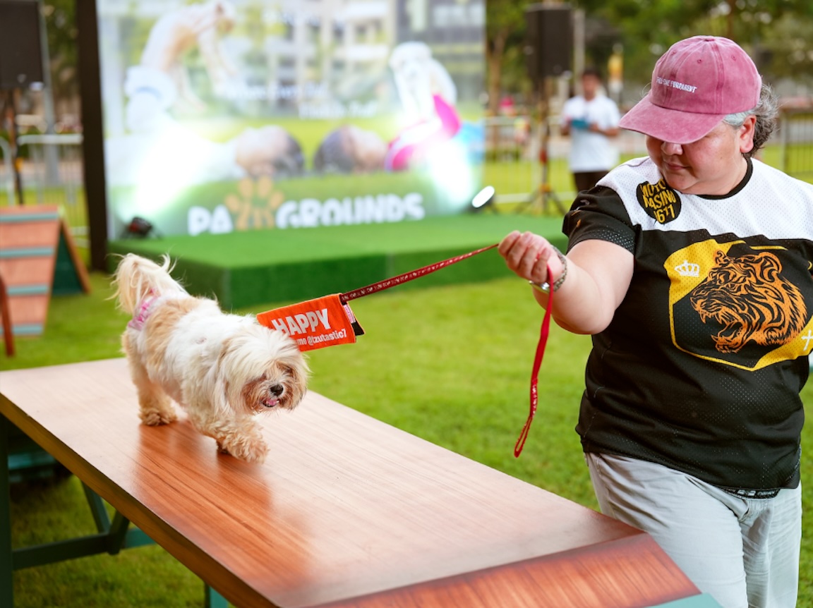 Furparents enjoy quality time with their furry companions, creating simple moments to cherish together at Pawgrounds.